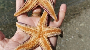 Фото наших Странников