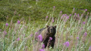 Фото из архива Клуба