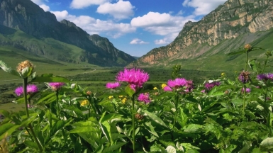 Фото наших Странников