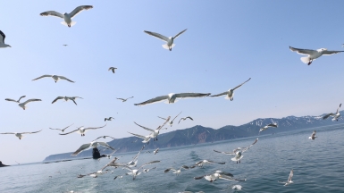 Фото нашего Странника Николая Савичева