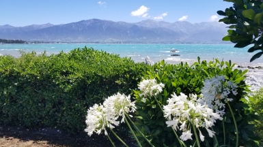 Фото: JustGoThere.NZ