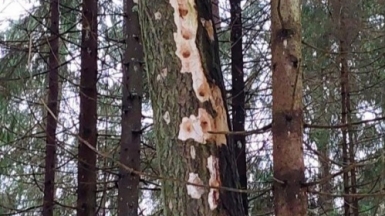 Фото гида Александра Чудновских