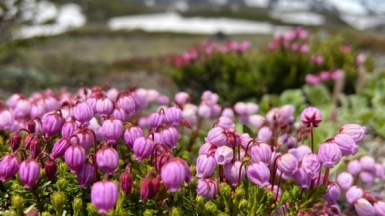 Фото нашей Странницы Анастасии Дербиной