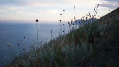 Фото нашей Странницы Аси Моисеевой