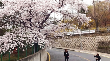 Фото нашего гида Лики Майстровой