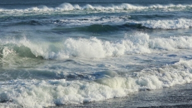 Фото нашей Странницы Анны Лазаренко