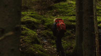 Из архива Клуба