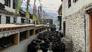 Фото нашего гида Лики Майстровой