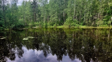 Фото нашего гида Александра Чудновского