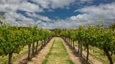 Фото нашей Странницы Татьяны Руновой