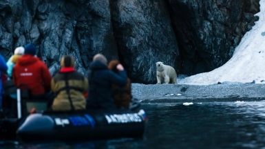 Фото наших партнеров