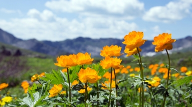 Фото: salman2 on depositphotos