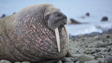 Фото из архива Клуба