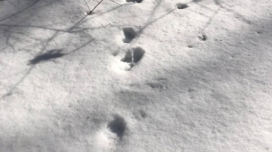 Фото наших Странников