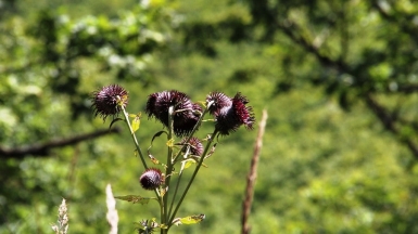 Фото Вероники Кузенковой