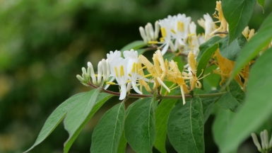 Фото: Alexandria Szakacs on unsplash