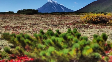 Фото нашего гида Евгении Скопиной