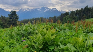 Фото наших Странников