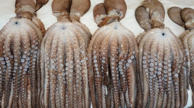 Фото нашего гида Лики Майстровой