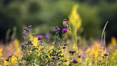 Фото нашего гида Михаила Верёвченко