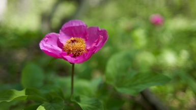 Фото нашего Странника Дмитрия Рассказова