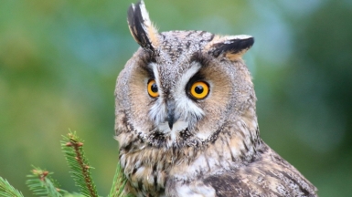 Фото гида Михаила Верёвченко