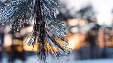 Фото: Matt Collamer, unsplash.com