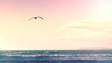 Фото Matthew Fournier on unsplash