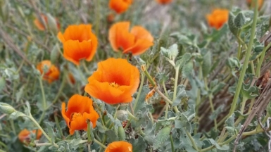 Фото нашего гида Ирины Пряничниковой