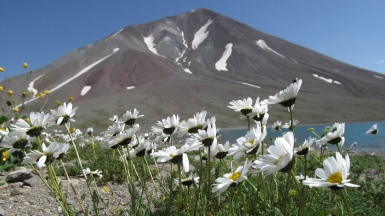 Фото нашего гида Ирины Пряничниковой