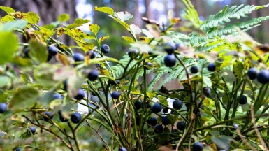 Фото Владимира Виноградова на unsplash.com