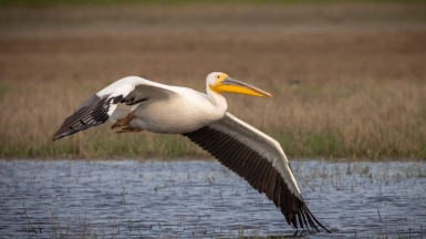 Фото нашего гида Михаила Верёвченко