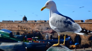 Фото нашей Странницы Оксаны Царьковой