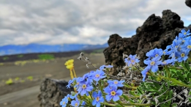 Фото нашей Странницы Татьяны Парцей