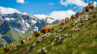 Фото: Max Dawncat, visualhunt.com