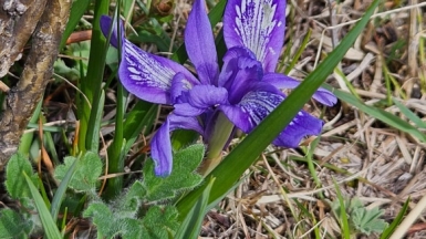Фото нашей Странницы Веры Илюшкиной