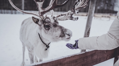 Фото: Arseny Togulev, unsplash.com