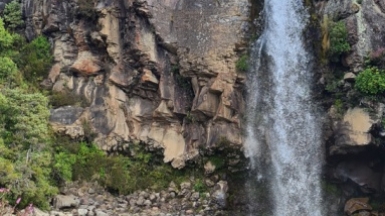 Фото наших партнеров JustGo ThereNZ