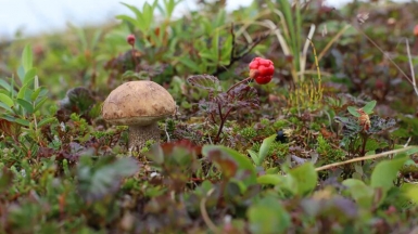 Фото из архива Клуба