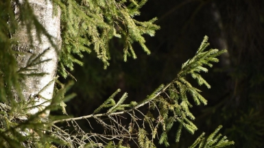 Фото Галины Чудновской