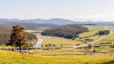 Фото: Алексей Морозов
