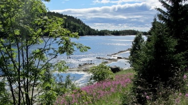 Фото: Виктория Шульга