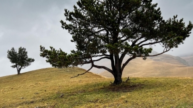 Фото наших Странников