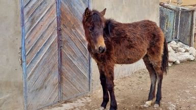 Фото нашей Странницы Екатерины Борисовой