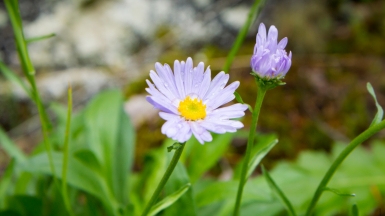 Фото: Dmitry Shutkin, visualhunt.com