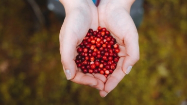 Фото из архива Клуба