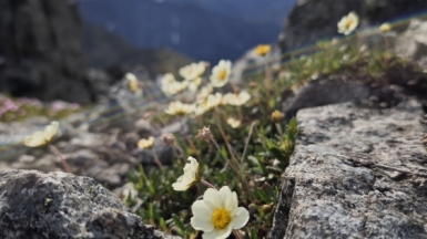 Фото наших Странников