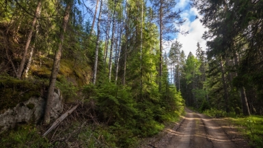 Фото нашего гида Михаила Верёвченко