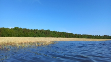 Фото нашего гида Алексея Петровского
