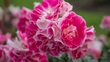 Фото нашей Странницы Татьяны Руновой